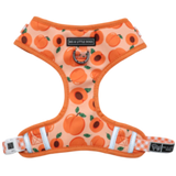 Big and Little Dogs Adjustable Just Peachy - Premium hondentuig > honden harnas from Big and Little Dogs - Just €19.99! Shop now at Frenkiezdogshop