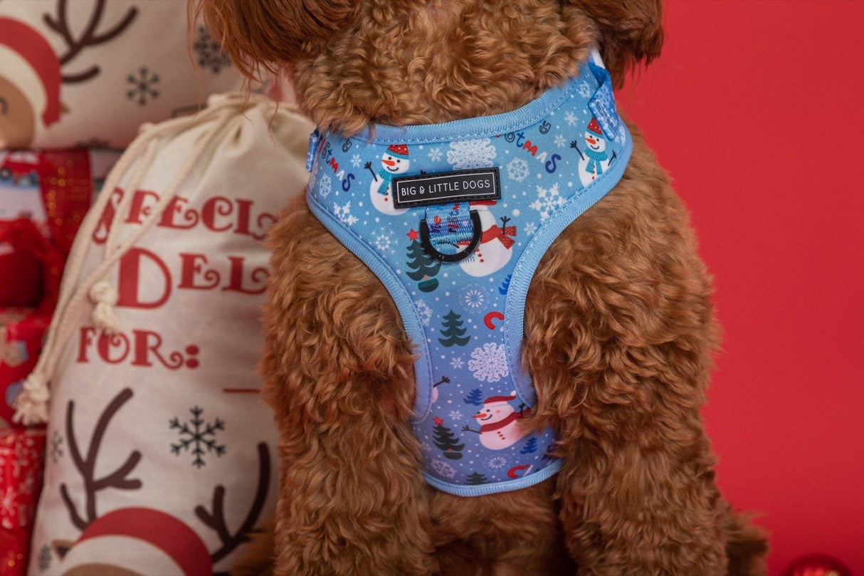 Big and Little Dogs Adjustable Let It Snow - Premium hondentuig > honden harnas from Big and Little Dogs - Just €19.99! Shop now at Frenkiezdogshop