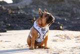 Big and Little Dogs Adjustable dog harness  Oh Ship! - Premium hondentuig > honden harnas from Big and Little Dogs - Just €19.99! Shop now at Frenkiezdogshop