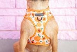 Big and Little Dogs Adjustable Just Peachy - Premium hondentuig > honden harnas from Big and Little Dogs - Just €19.99! Shop now at Frenkiezdogshop