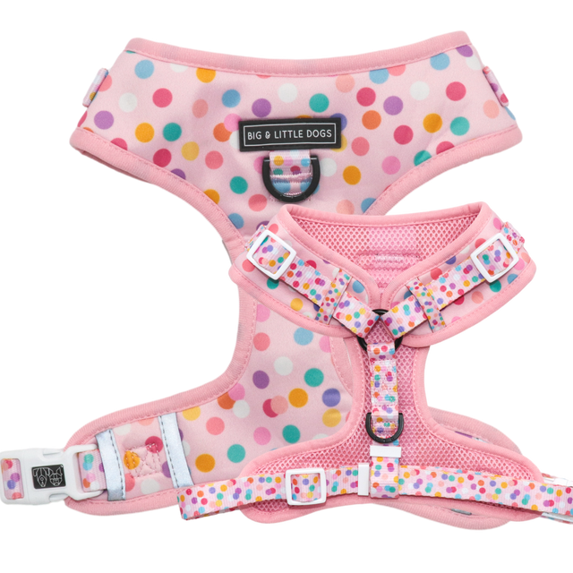 Big and Little Dogs Adjustable Harness Pink Confetti ( XLARGE) - Premium hondentuig > honden harnas from Big and Little Dogs - Just €19.99! Shop now at Frenkiezdogshop