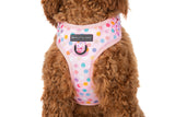 Big and Little Dogs Adjustable Harness Pink Confetti ( XLARGE) - Premium hondentuig > honden harnas from Big and Little Dogs - Just €19.99! Shop now at Frenkiezdogshop