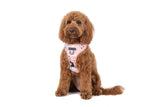 Big and Little Dogs Adjustable Peach Splatter Terrazzo ( X Large ) - Premium hondentuig > honden harnas from Big and Little Dogs - Just €23.99! Shop now at Frenkiezdogshop