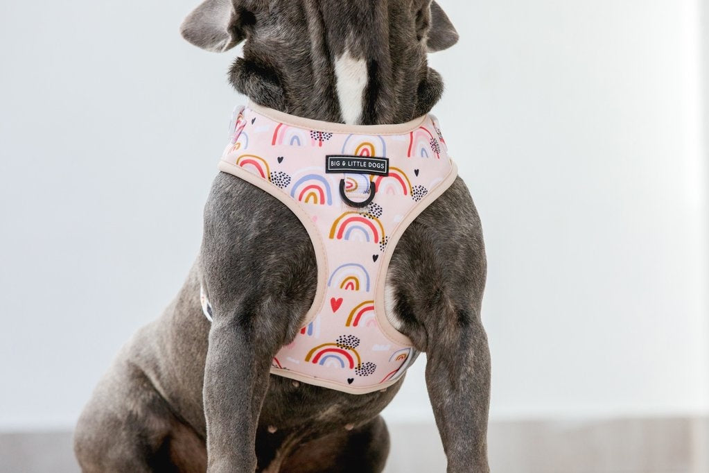 Big and Little Dogs Rainbow Dreams - Premium hondentuig > honden harnas from Big and Little Dogs - Just €19.99! Shop now at Frenkiezdogshop