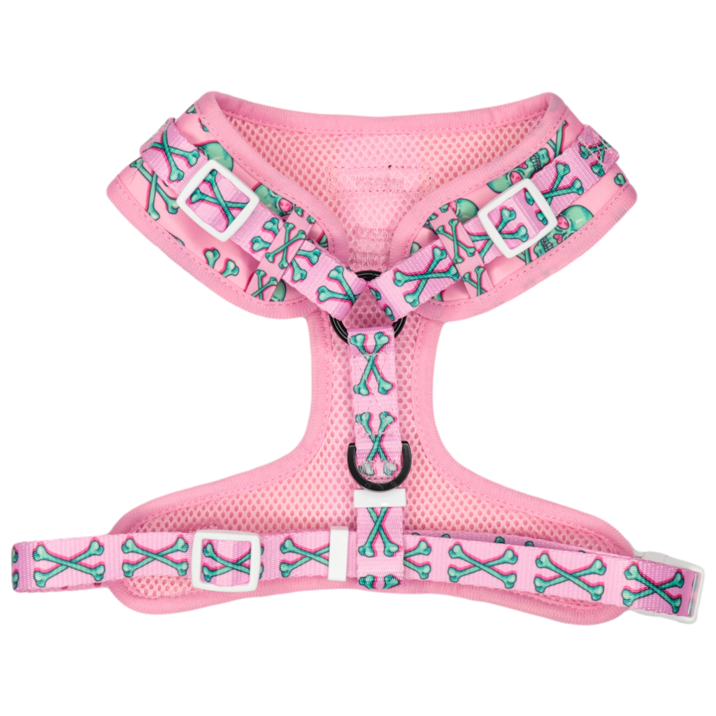 Big and Little Dogs  Adjustable Skull and Bones - Premium hondentuig > honden harnas from Big and Little Dogs - Just €23.99! Shop now at Frenkiezdogshop