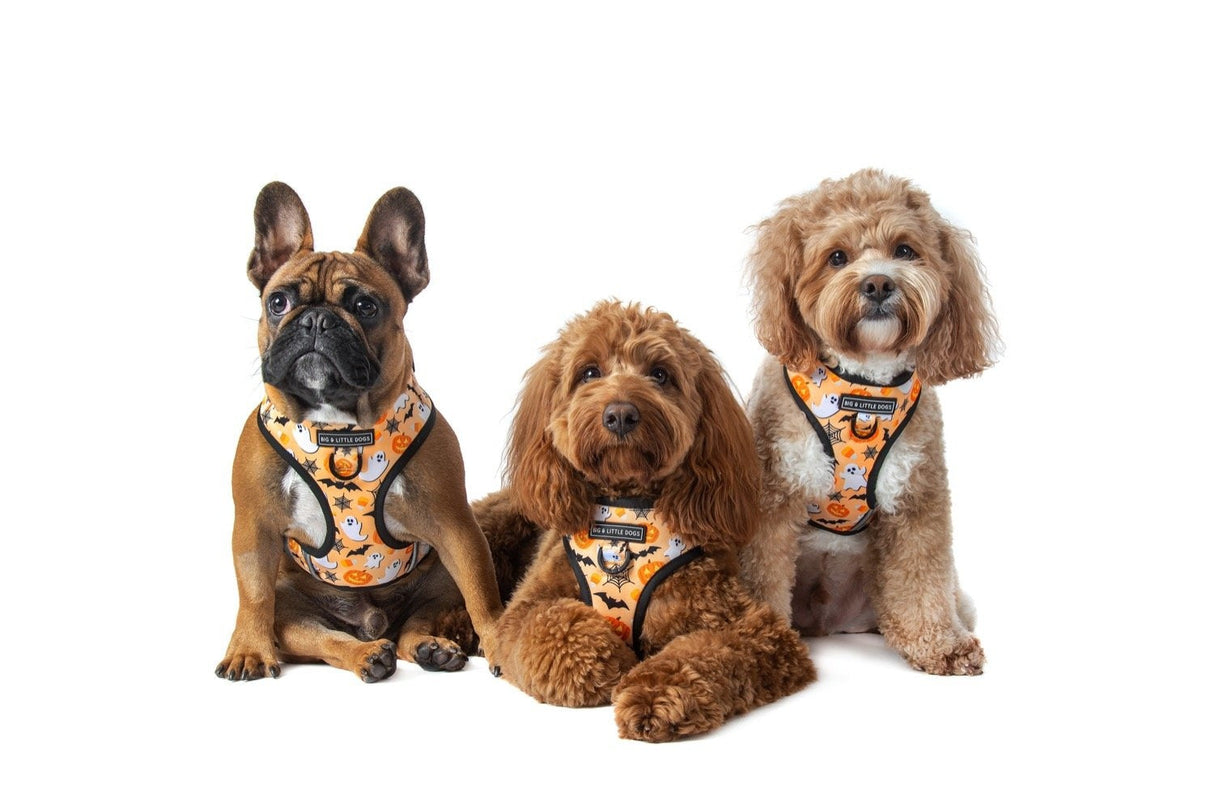 Big and Little Dogs Adjustable Spooky Season - Premium hondentuig > honden harnas from Big and Little Dogs - Just €25.99! Shop now at Frenkiezdogshop