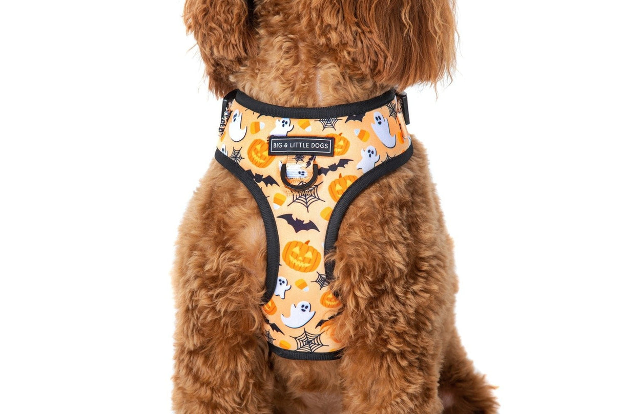 Big and Little Dogs Adjustable Spooky Season - Premium hondentuig > honden harnas from Big and Little Dogs - Just €25.99! Shop now at Frenkiezdogshop