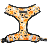 Big and Little Dogs Adjustable Spooky Season - Premium hondentuig > honden harnas from Big and Little Dogs - Just €25.99! Shop now at Frenkiezdogshop