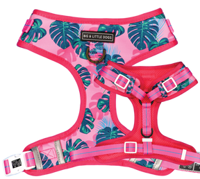 Big and Little Dogs Adjustable Harness Summer Lovin' ( L & XL ) - Premium hondentuig > honden harnas from Big and Little Dogs - Just €10! Shop now at Frenkiezdogshop