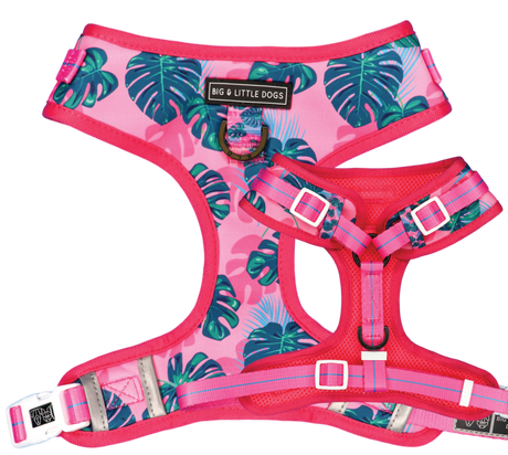 Big and Little Dogs Adjustable Harness Summer Lovin' ( L & XL ) - Premium hondentuig > honden harnas from Big and Little Dogs - Just €25.99! Shop now at Frenkiezdogshop