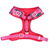 Big and Little Dogs Adjustable Harness Summer Lovin' ( L & XL ) - Premium hondentuig > honden harnas from Big and Little Dogs - Just €25.99! Shop now at Frenkiezdogshop