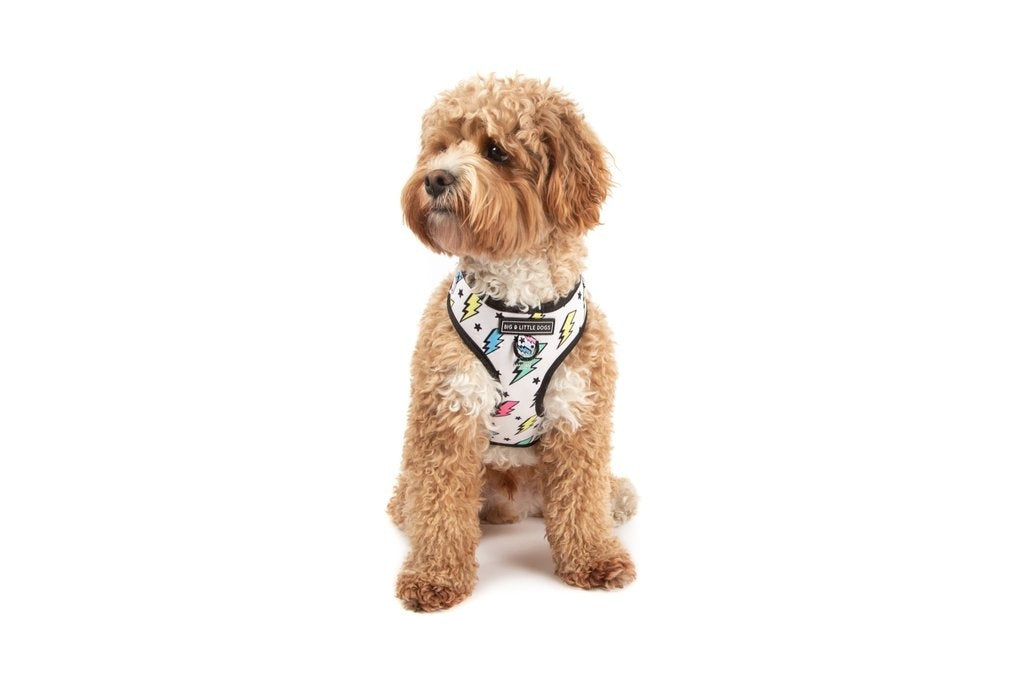 Big and Little Dogs Adjustable dog harness  The Bolt - Premium hondentuig > honden harnas from Big and Little Dogs - Just €19.99! Shop now at Frenkiezdogshop