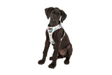 Big and Little Dogs Adjustable dog harness  The Bolt - Premium hondentuig > honden harnas from Big and Little Dogs - Just €19.99! Shop now at Frenkiezdogshop