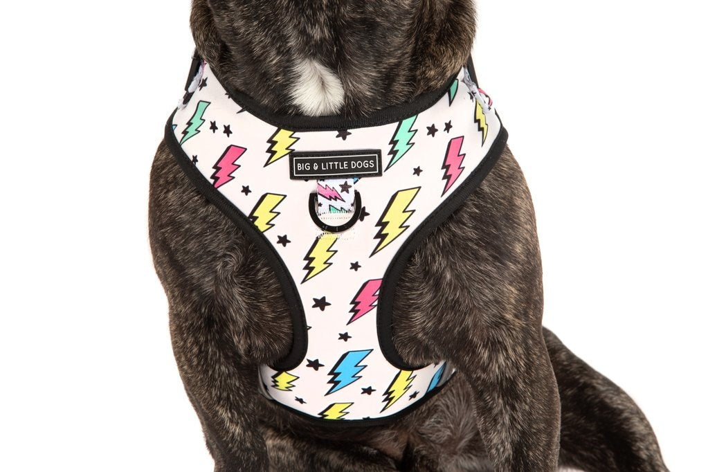 Big and Little Dogs Adjustable dog harness  The Bolt - Premium hondentuig > honden harnas from Big and Little Dogs - Just €19.99! Shop now at Frenkiezdogshop