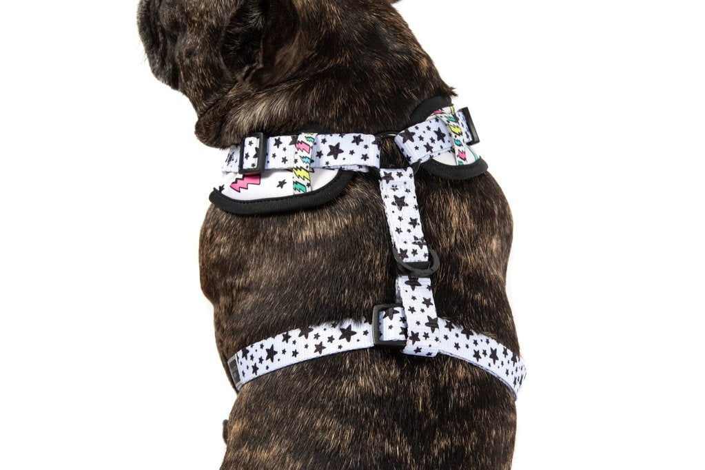 Big and Little Dogs Adjustable dog harness  The Bolt - Premium hondentuig > honden harnas from Big and Little Dogs - Just €19.99! Shop now at Frenkiezdogshop