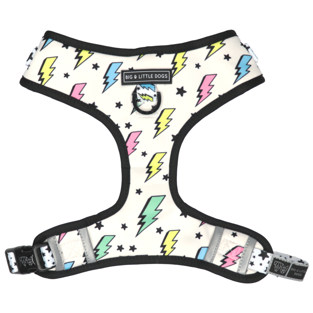 Big and Little Dogs Adjustable dog harness  The Bolt - Premium hondentuig > honden harnas from Big and Little Dogs - Just €19.99! Shop now at Frenkiezdogshop