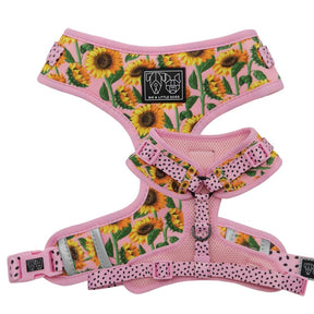 Big and Little Dogs Adjustable Harness You Are My Sunshine ( X-LARGE) - Premium hondentuig > honden harnas from Big and Little Dogs - Just €10! Shop now at Frenkiezdogshop