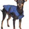 Animal Coolkeeper Pet Jacket - Premium cooling > koelvest from Doxtasy/Animal Gear - Just €21.99! Shop now at Frenkiezdogshop