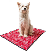 Animal Gear Aqua Coolkeeper Cooling Mat cooling > koelmat 05 S 40 cm x 30 cm, Kleur: Pacific Blue