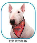Animal Gear Aqua Coolkeeper Bandana Red Western Cooling > Koelvest XX - Small