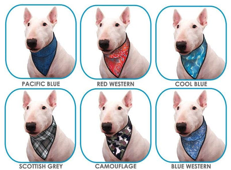 Animal Gear Aqua Coolkeeper Bandana - Premium Cooling > Koelvest from Doxtasy/Animal Gear - Just €10.99! Shop now at Frenkiezdogshop