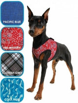 Animal Gear Aqua Coolkeeper Comfy Harness - Premium Cooling > Koelvest from Doxtasy/Animal Gear - Just €14.99! Shop now at Frenkiezdogshop