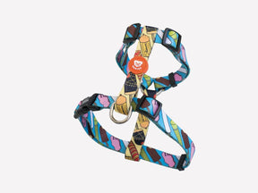 Dukier Classic Harness icecream - Premium hondentuig > honden harnas from Dukier - Just €10! Shop now at Frenkiezdogshop