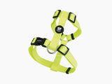 Dukier Classic Harness Neon - Premium hondentuig > honden harnas from Dukier - Just €22.99! Shop now at Frenkiezdogshop