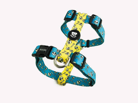 Dukier Classic Harness Skulls - Premium hondentuig > honden harnas from Dukier - Just €18.99! Shop now at Frenkiezdogshop