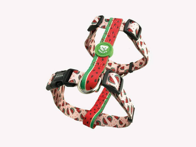 Dukier Classic Harness watermelon ( ALLEEN LARGE ) - Premium hondentuig > honden harnas from Dukier - Just €22.99! Shop now at Frenkiezdogshop