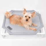 Olchi Camping Stretcher bed Grey - Premium hondenbed > hondenmand from Olchi - Just €54.99! Shop now at Frenkiezdogshop