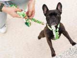 Dukier Classic Harness Avocado - Premium hondentuig > honden harnas from Dukier - Just €20.99! Shop now at Frenkiezdogshop