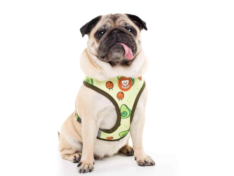 Dukier Reversible Harness Avocado hondentuig > honden harnas > model A X - Small