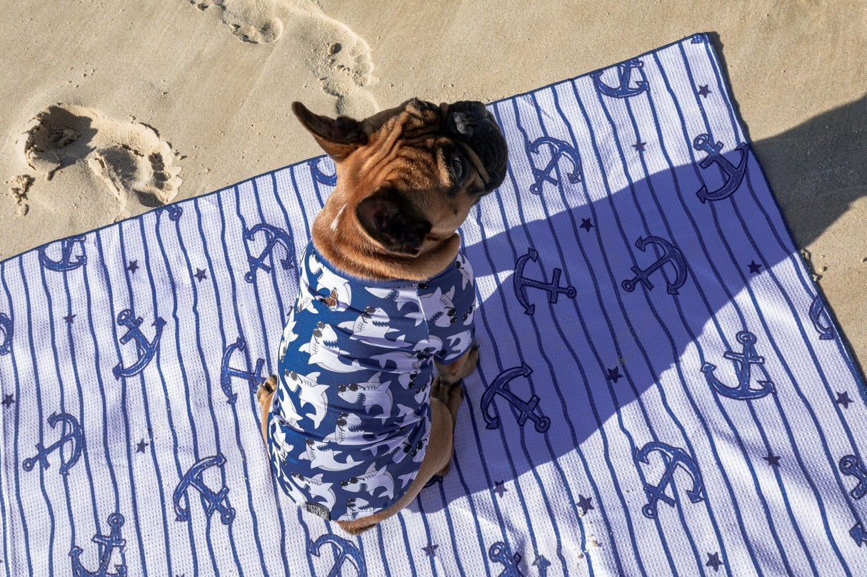 Big and Little Dogs strand shirt met UV bescherming  Bite Me (Blue Version) - Premium Hondenkleding > zonbescherming from Big and Little Dogs - Just €20.99! Shop now at Frenkiezdogshop