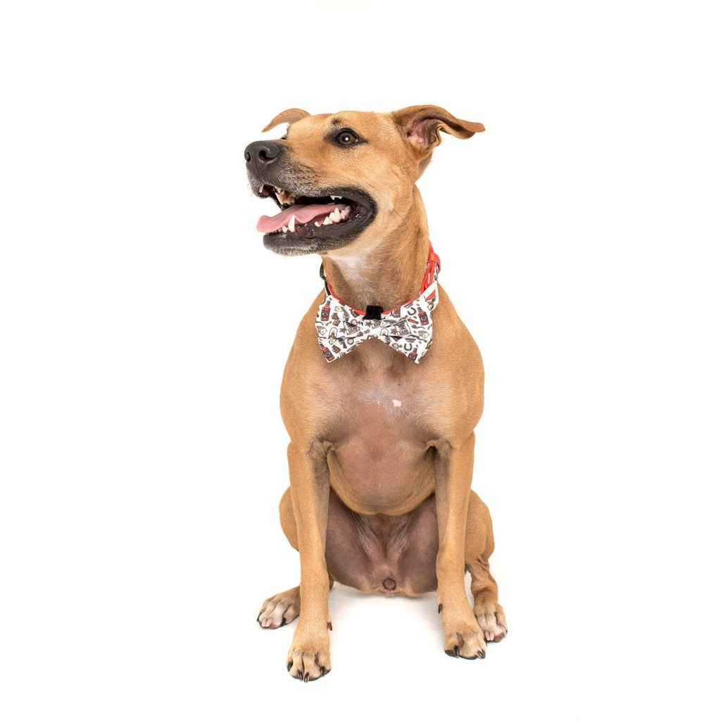 Big and Little Dogs Halsband Best in The West ( XSMALL & MEDIUM ) - Premium halsband > hondenhalsband from Big and Little Dogs - Just €16.99! Shop now at Frenkiezdogshop