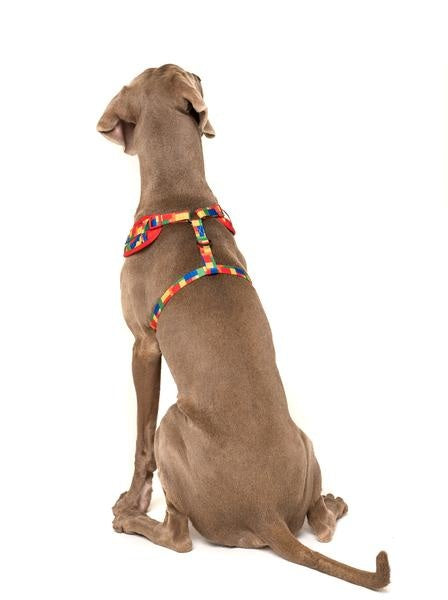 Big and Little Dogs Adjustable Dog Harness Blocktastic ( XXS ) - Premium hondentuig > honden harnas from Big and Little Dogs - Just €19.99! Shop now at Frenkiezdogshop