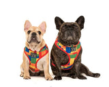 Big and Little Dogs Adjustable Dog Harness Blocktastic ( XXS ) - Premium hondentuig > honden harnas from Big and Little Dogs - Just €19.99! Shop now at Frenkiezdogshop