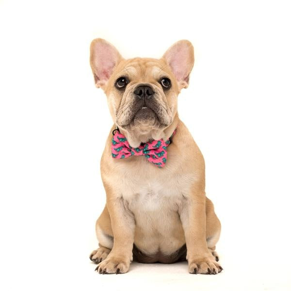 Big and Little Dogs Halsband Princess-asaurus ( XS & M ) - Premium halsband > hondenhalsband from Big and Little Dogs - Just €16.99! Shop now at Frenkiezdogshop