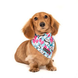 Big  and Little dogs Bandana Beary Cute ( M/L) - Premium Bandana > Hondenbandana from Big and Little Dogs - Just €9.99! Shop now at Frenkiezdogshop