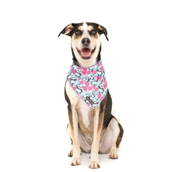 Big  and Little dogs Bandana Beary Cute ( M/L) - Premium Bandana > Hondenbandana from Big and Little Dogs - Just €9.99! Shop now at Frenkiezdogshop