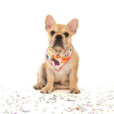 Big  and Little dogs Bandana Birthday Cake ( M/L ) - Premium Bandana > Hondenbandana from Big and Little Dogs - Just €9.99! Shop now at Frenkiezdogshop