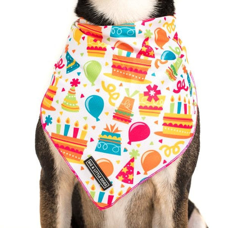 Big  and Little dogs Bandana Birthday Cake ( M/L ) - Premium Bandana > Hondenbandana from Big and Little Dogs - Just €9.99! Shop now at Frenkiezdogshop