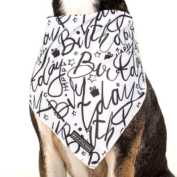 Big  and Little dogs Bandana Black & White Birthday - Premium Bandana > Hondenbandana from Big and Little Dogs - Just €9.99! Shop now at Frenkiezdogshop