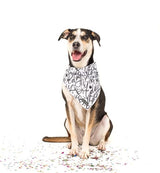 Big  and Little dogs Bandana Black & White Birthday - Premium Bandana > Hondenbandana from Big and Little Dogs - Just €9.99! Shop now at Frenkiezdogshop