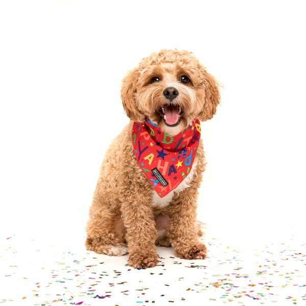 Big  and Little dogs Bandana Red Birthday ( S/M) - Premium Bandana > Hondenbandana from Big and Little Dogs - Just €9.99! Shop now at Frenkiezdogshop