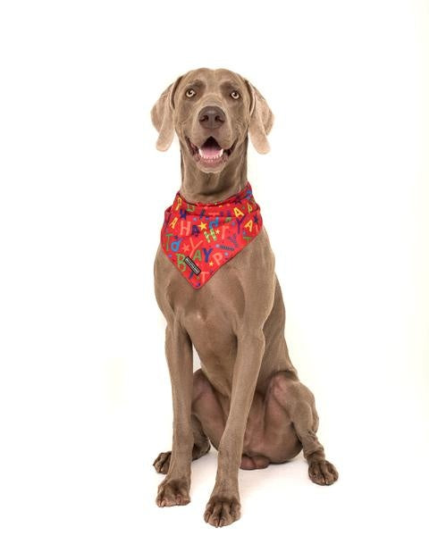 Big  and Little dogs Bandana Red Birthday ( S/M) - Premium Bandana > Hondenbandana from Big and Little Dogs - Just €9.99! Shop now at Frenkiezdogshop