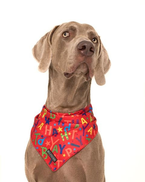 Big  and Little dogs Bandana Red Birthday ( S/M) - Premium Bandana > Hondenbandana from Big and Little Dogs - Just €9.99! Shop now at Frenkiezdogshop