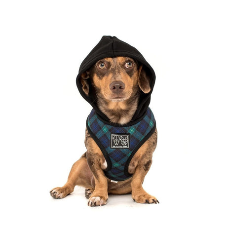 Big and Little Dogs Hoody Harness Green With Envy ( XSMALL & SMALL ) hondentuig > honden harnas > model A X - Small