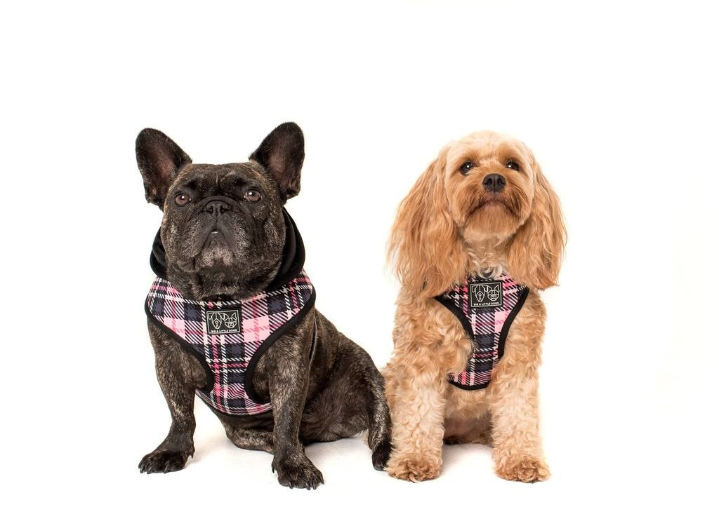 Big and Little Dogs Hoody Harness Pretty In Pink ( XSMALL ) - Premium hondentuig > honden harnas from Big and Little Dogs - Just €24.99! Shop now at Frenkiezdogshop