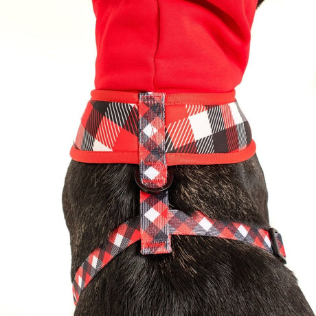 Big and Little Dogs Hoody Harness Roaring Red ( XSMALL) hondentuig > honden harnas > model A X - Small
